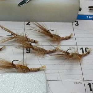 Meet your Posher, Tim